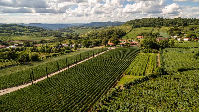 Enoturismo na Serra Gaúcha