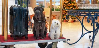 Hotel Doral Guarujá vence prêmio Melhor Pet Friendly