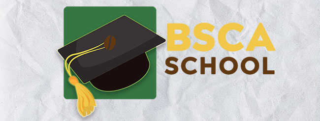 Setor de cafés especiais ganha plataforma com cursos de capacitação